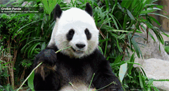 Desktop Screenshot of grosser-panda.de