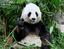 Tablet Screenshot of grosser-panda.de